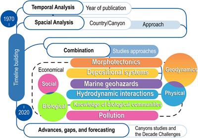 The South American Advances in Submarine Canyons Studies and Their Link to the Ocean Decade